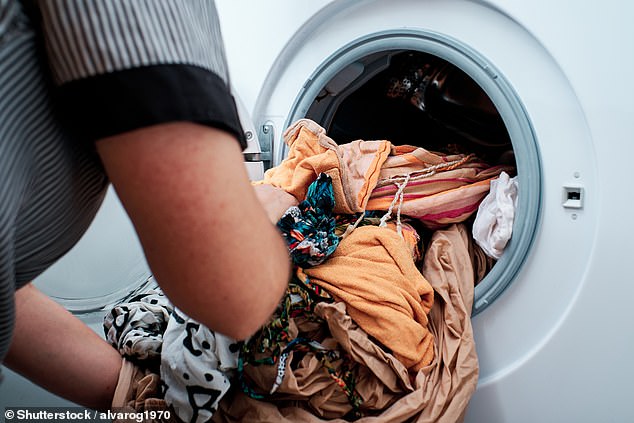 The cleaning expert said you should always take the time to check the pockets of all items going into the washing machine (File Image)