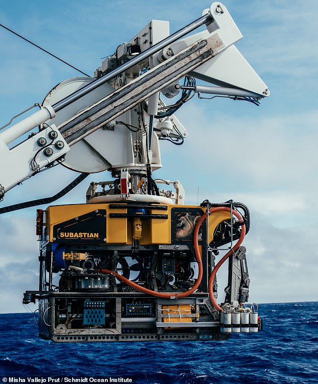 The researchers used a remotely piloted vehicle called SuBastian to study the complex ecosystems in this region of the Pacific Ocean