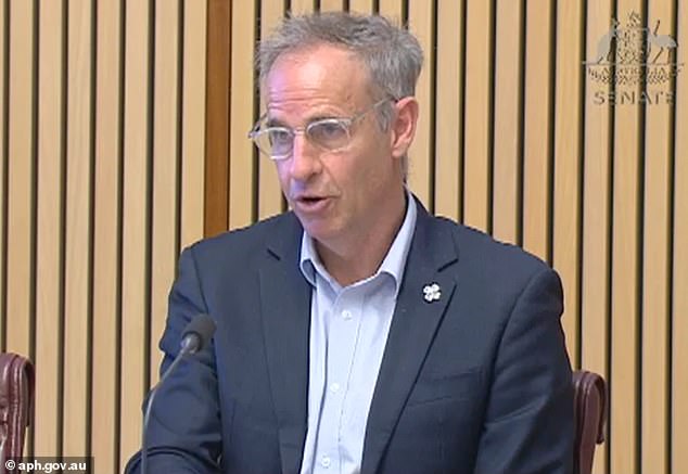 Inquiry chair and Greens senator Nick McKim (pictured) warned Banducci he could face charges after attempting to question him several times