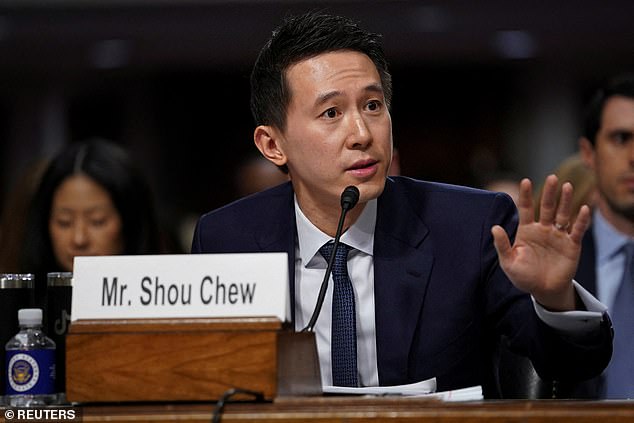 TikTok CEO Shou Zi Chew testified before Congress in January this year, along with other social media executives, about companies' failure to protect young users.