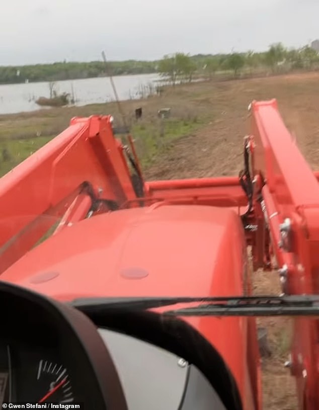 The couple drove to another area where the project would take place.  “Here it is, the field we are going to conquer,” Stefani explained as he showed a piece of prepared land near a body of water