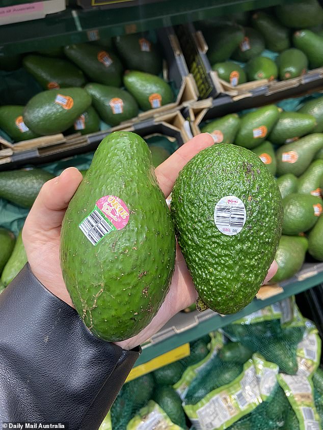 Some customers say they prefer Autumn avocados (right) to Shepard avocados (left).