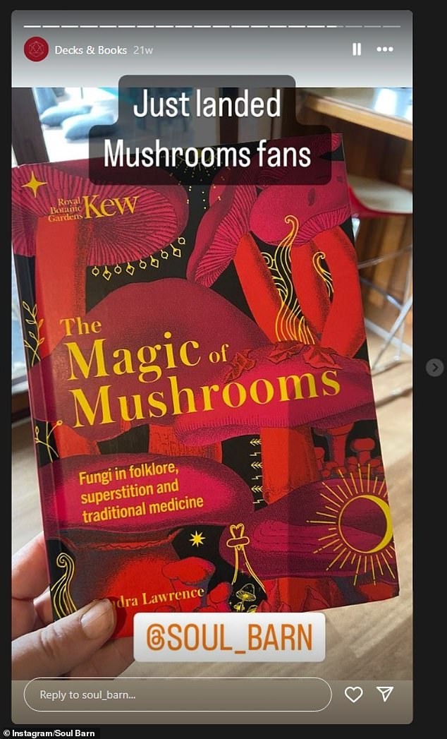 One of many books on mushrooms for sale at Soul Barn in Clunes