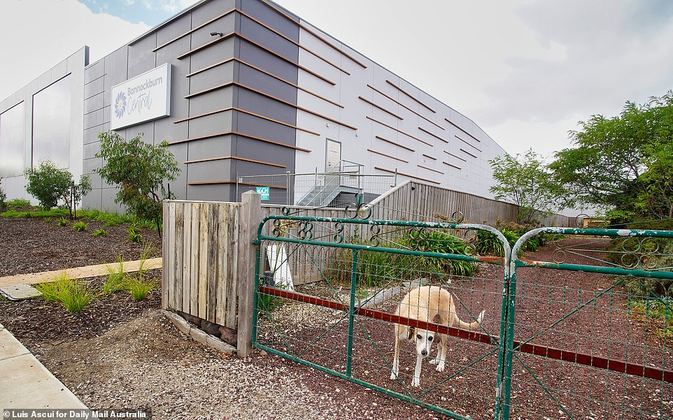 The Adams family dog ​​greets passers-by in front of their house, which is built around the large shopping center