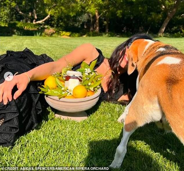 Abigail, 42, was gifted the sixth jar in the batch, she revealed today in an over-the-top photoshoot that showed her lying in the grass with the precious preservative.