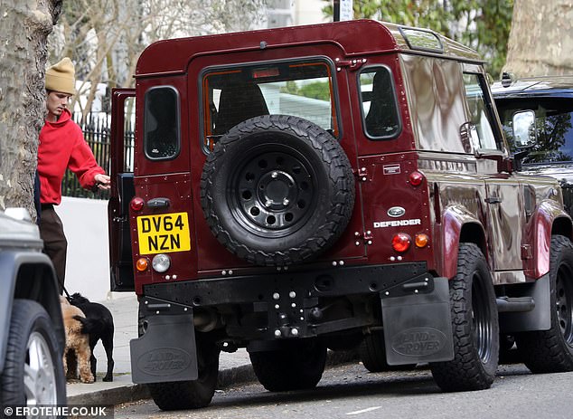 The aspiring singer got into the car next to two dogs