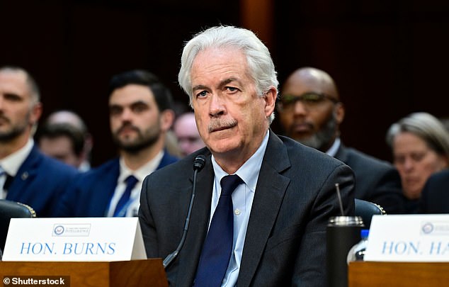 William J Burns (pictured) is the director of the Central Intelligence Agency