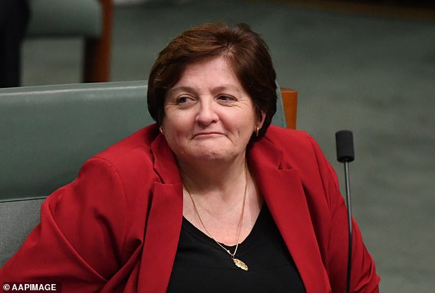 Anne Stanley, Labor member for Werriwa in Sydney's south-west, declared the gift - worth $420 - on Friday, April 12