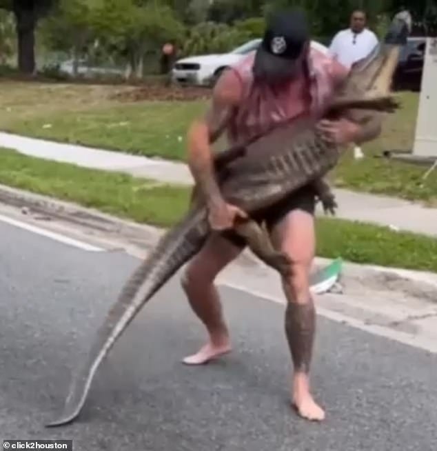 Dragich, a military veteran and MMA fighter, was able to subdue the 8-foot alligator in front of a crowd of spectators