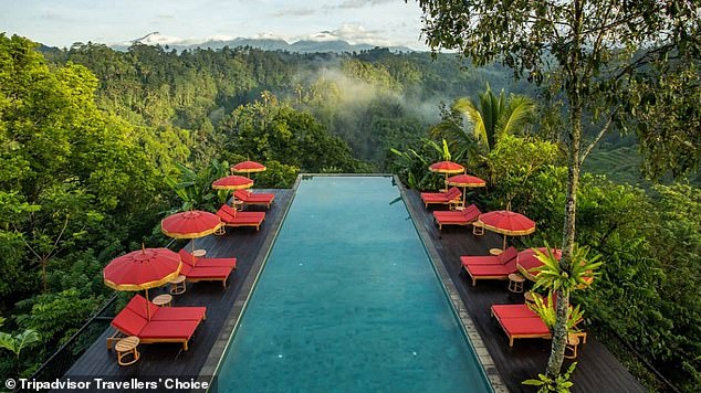 This year, Tripadvisor launched a global list of 'best sustainable hotels'.  At the top is the luxury jungle resort Buahan a Banyan Tree Escape, Bali (above)