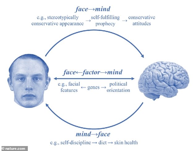 The study focused on 590 participants who completed a 100-item questionnaire about their political beliefs and other information about age, gender and ethnicity.  The researchers found that facial features played a primary role in identifying their political orientation