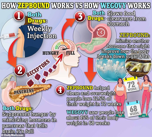 The above shows how Zepbound works and how Wegovy works