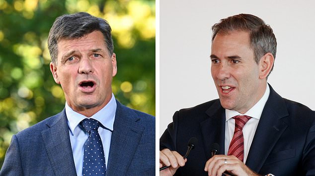 Shadow Treasurer Angus Taylor is pictured on the left and Treasurer Jim Chalmers on the right