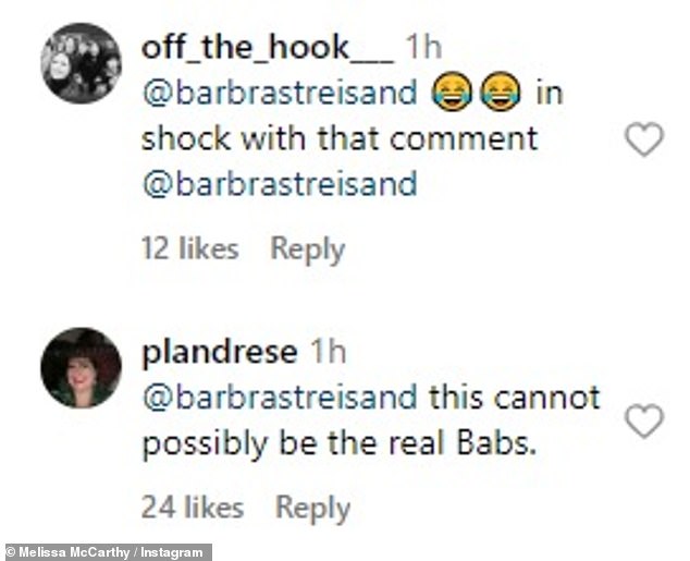 One user questioned the possibility that someone posted under Streisand, saying that 'this can't possibly be the real Babs'