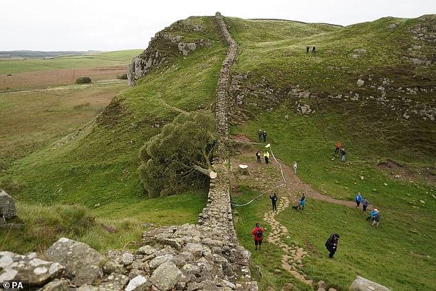 Walkers stop to look at the tree next to Hadrian's Wall in Northumberland after it was felled last September