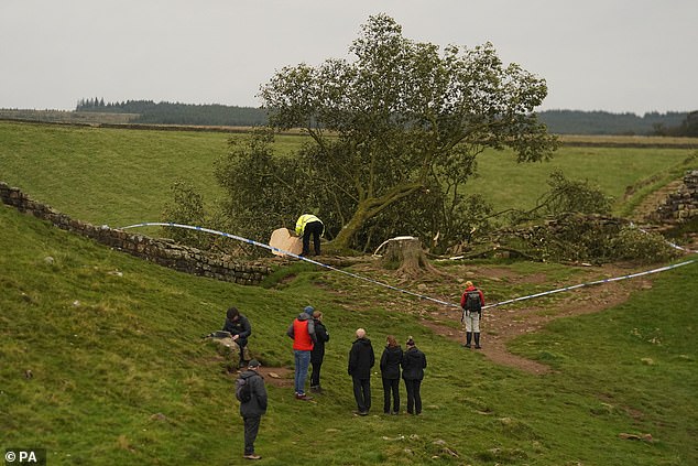 Walkers and locals said it was 'inexcusable' if the tree was deliberately destroyed