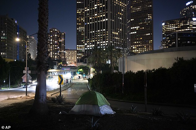 LA is currently home to more than 46,000 unhoused people, a 10 percent increase from the previous year, according to the Los Angeles Homeless Services Authority