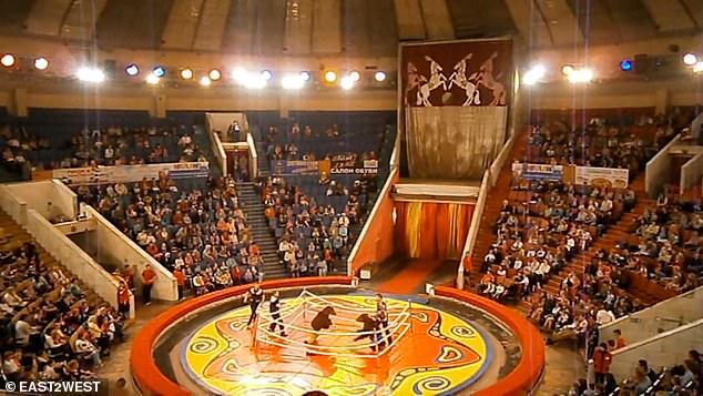 Another video of the brutal fight shows the animals fighting under bright circus lights in front of a large audience
