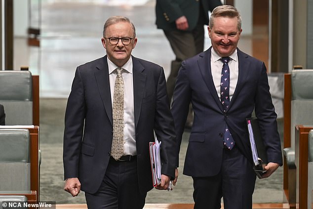 Energy Minister Chris Bowen has played down a private flight 'scandal' after he chose to fly solo to a climate announcement rather than fly with Anthony Albanese (both pictured)