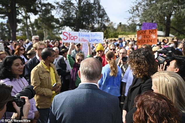 Mr Albanese was booed and heckled by some of the crowd during his speech