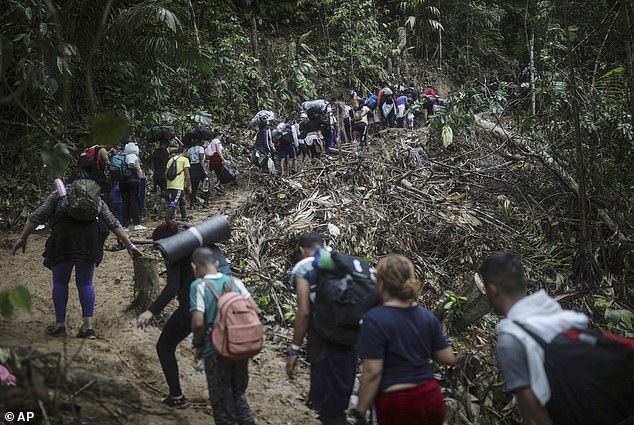 Millions of migrants brave the Darien Gap (pictured) every year, but are forced to make the journey largely on foot, encountering dangerous river crossings, wildlife and even violent criminal gangs that extort, kidnap and abuse them.