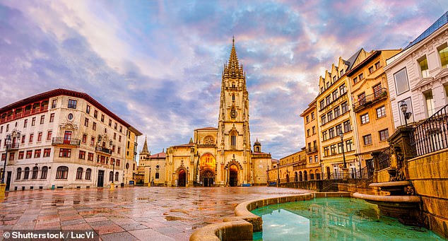 The crazed 46-year-old allegedly kicked the victim's head as if it were a football on a main road passing through his hometown of Soto de Ribera, near the city of Oviedo in Asturias (file image of Oviedo)