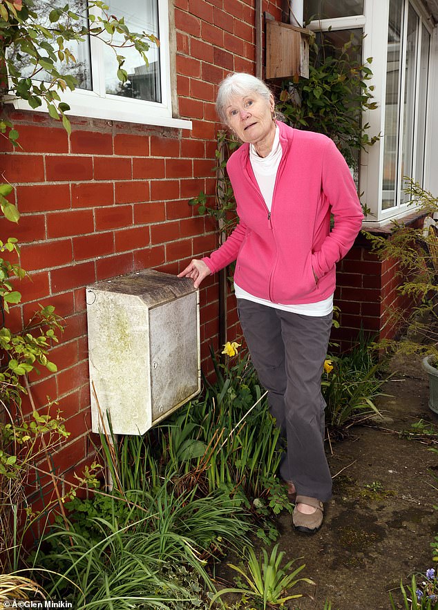 Carole Winn is one of dozens of readers who say they are worse off with a smart meter than with a traditional meter