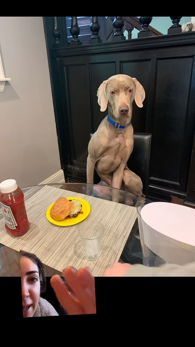 Grayson sat quietly on a chair at their table while they ate breakfast, thankfully not trying to drink Finocchiaro and Vinci's drinks.