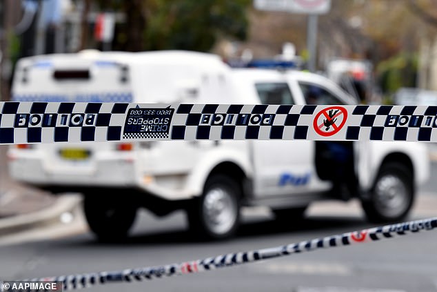 A woman and a man have died after a single car crash in Sydney's south-west (file photo)