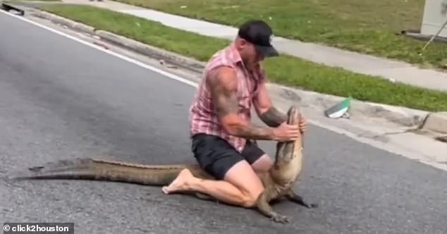 Mike Draggich, 34, used his bare hands to subdue an enraged alligator in Jacksonville's Northside