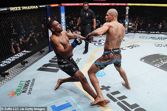 Alex Pereira knocked out Jamahal Hill in the first round of their UFC light heavyweight bout