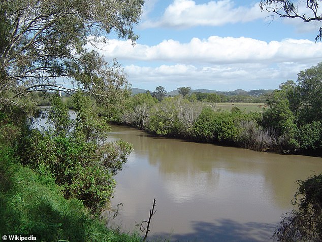 There are also concerns about the potential 'catastrophic' effect the leak could have on local wildlife in the wetlands