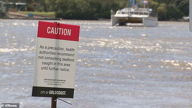 There are concerns about fish, shrimp and crabs being taken from a river contaminated by a major sewage leak