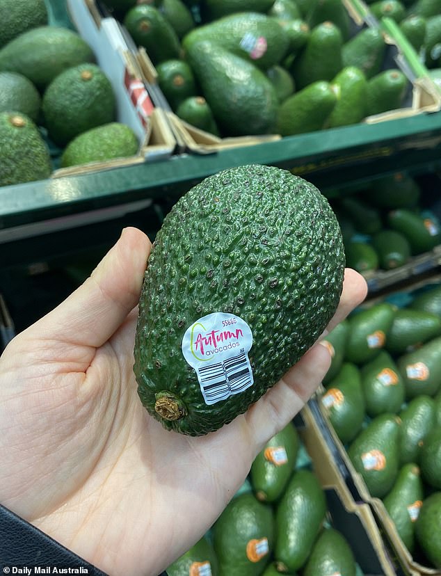 Coles now also sells autumn avocados in addition to Shepard (pictured).