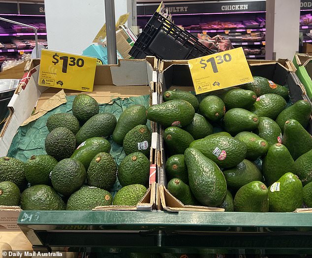 It has a rough, pebble-green skin that darkens as the fruit ripens.  It is also slightly larger than Hass.  Australians have made it clear that Hass avocados are preferred over the 'dreaded' Shepard, but currently only the latter is in season (photo left, autumn avocados)