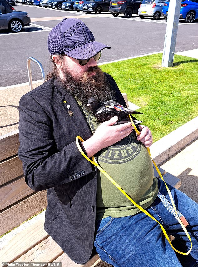 The stay-at-home dad saved the young bird from drowning in a lake and they've been joined at the hip ever since