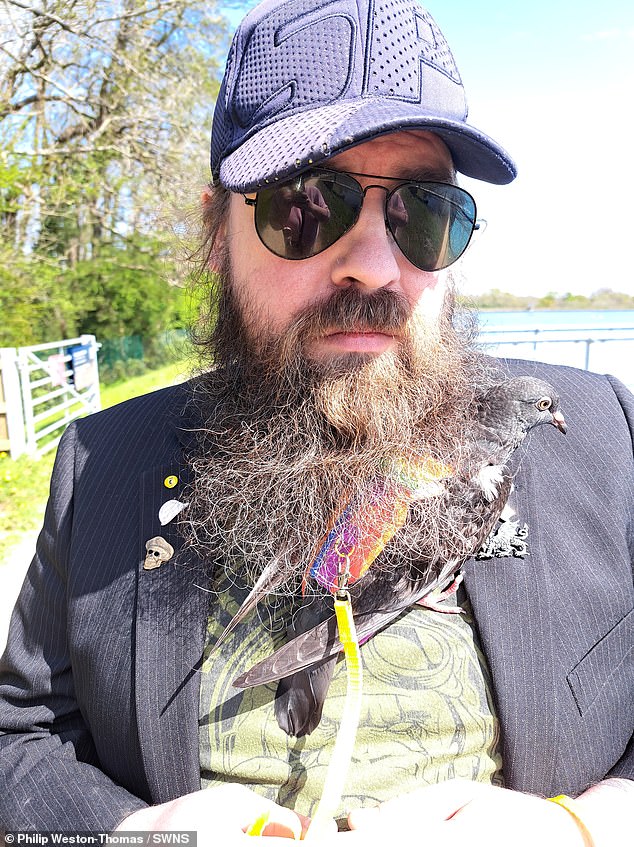 Philip Weston-Thomas, from Wales, is pictured with baby pigeon Bobbi in his beard