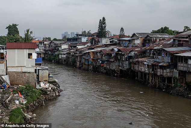 Roads and buildings for the new capital Nusantara, intended to replace the slowly sinking city of Jakarta (photo), begin to flow from the cleared jungle area of ​​the island of Borneo