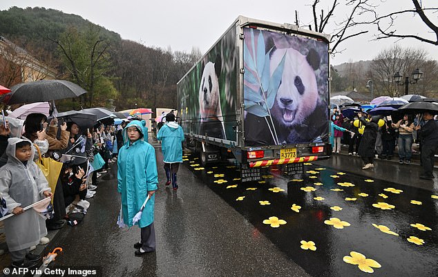 Thousands of people gathered on the streets of South Korea this morning to say goodbye to panda Fu Bao as she heads to China