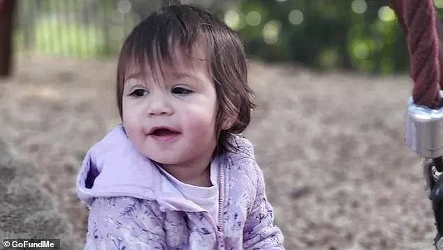 Little Teneille (pictured) was crushed under a pile of rocks in the backyard of her home in Quairading, 165km west of Perth, on January 2 while playing chase with her brother