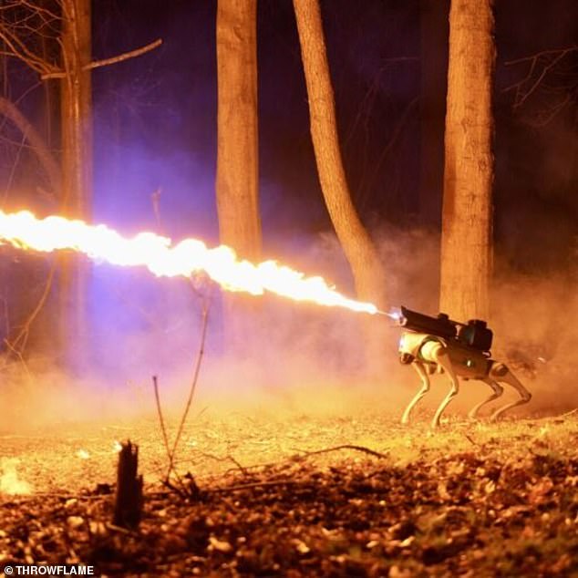 While it may sound like the plot of a Black Mirror show, Americans can now buy a flamethrower-wielding robot dog online