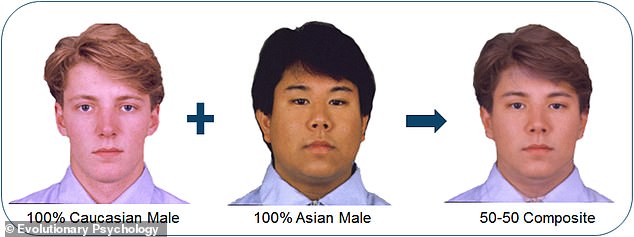 Participants were shown seven pairs of faces (one female and one male in each pair), ranging from 100 percent Asian to 100 percent Caucasian, including distorted biracial composites of 30 percent, 40 percent, 50 percent, 60 percent.  cent, and 70 percent Caucasian or Asian