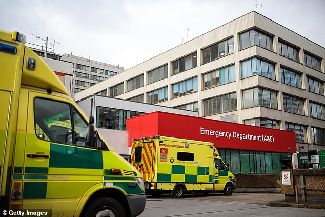 More than 150,000 patients had to wait more than 24 hours in emergency departments last year before being given a hospital bed, a tenfold increase since 2019, new figures show (stock image)