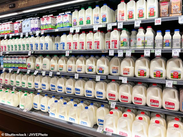 Government health officials insist that the traces of bird flu in milk are inactive and that the findings do not indicate that milk on supermarket shelves is unsafe
