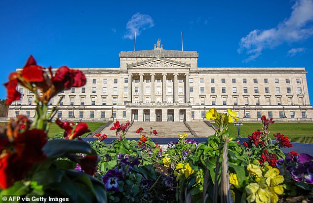 Flowers are seen growing outside the Houses of Parliament, the seat of the Northern Ireland Assembly, in Stormont on January 30, 2024