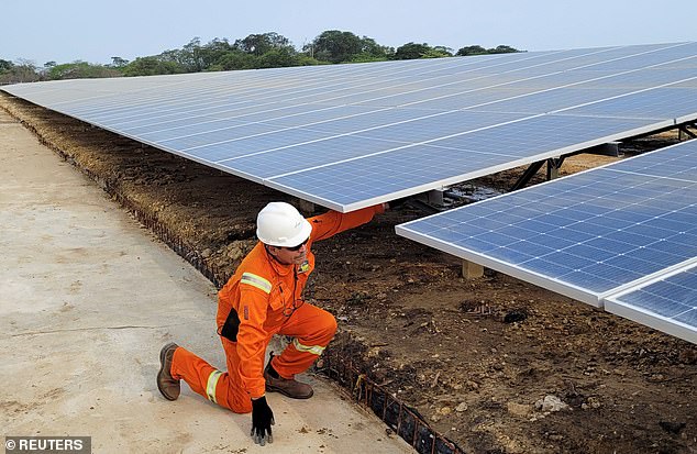 Clear payouts: Bluefield Solar Income Fund was the first solar-focused fund to launch in London in 2013 and has been paying quarterly dividends since February the following year