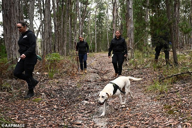 Specialist cadaver dogs from New South Wales have been called in to help find Samantha Murphy's body