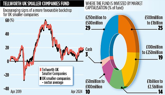 TELLWORTH UK SMALLER COMPANIES Fund that buys when companies are