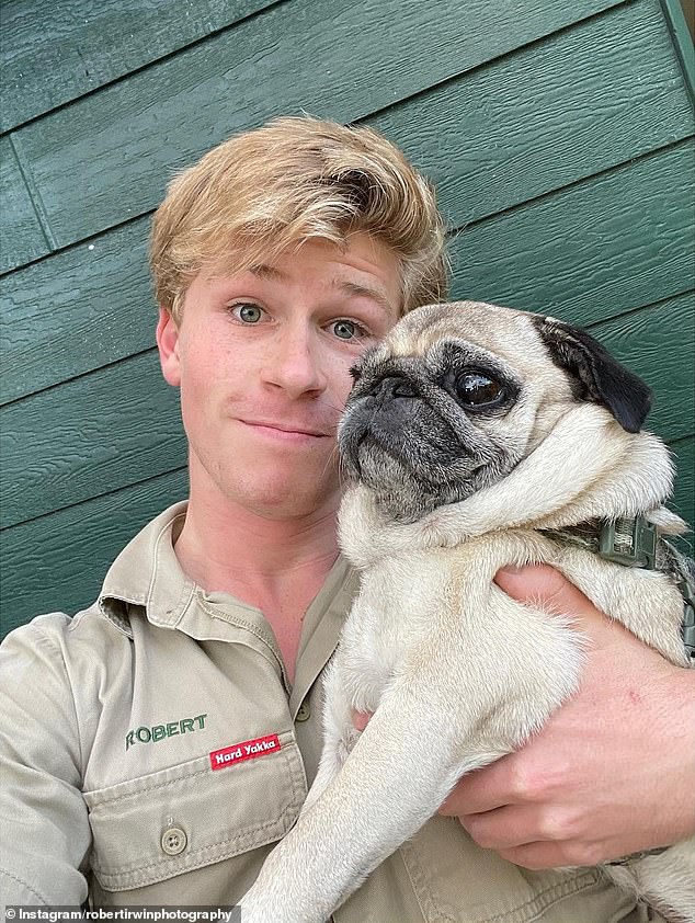 The Irwins have been criticized after promoting a certain breed of dog on their social media.  Robert Irwin recently made a joint post on Instagram with the account of the family's pug, Stella.  Both shown