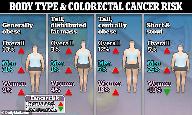 Researchers from six countries, including the US and Britain, found that people who were 'generally obese', as well as those who were taller and had more belly fat, were at the greatest risk of colorectal cancer